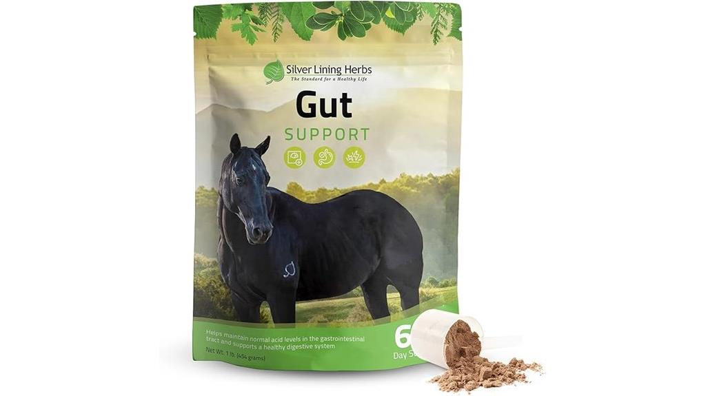 silver lining herbs gut support